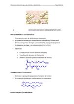 Bioquímica 3