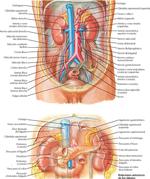 Riñones y Glándulas Suprarrenales